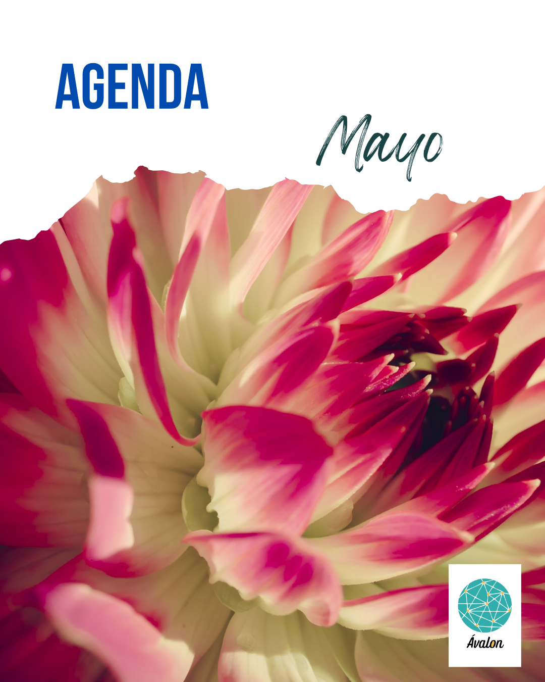 Agenda