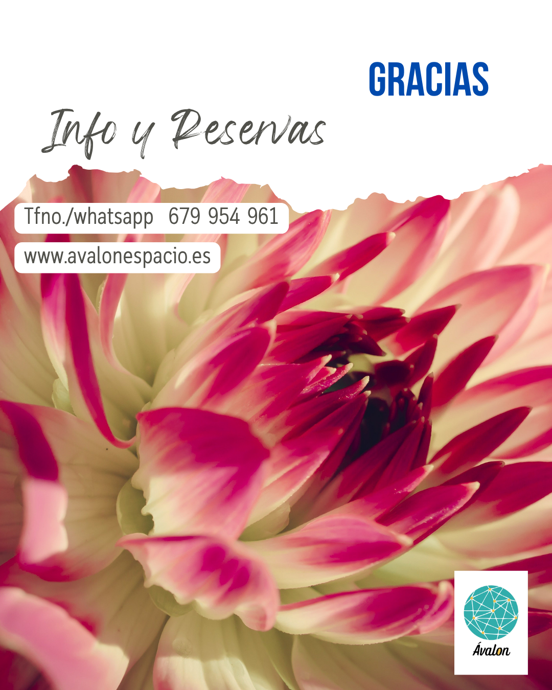 Contacto